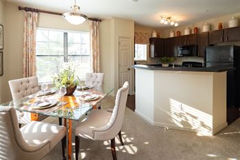 Modern dining room